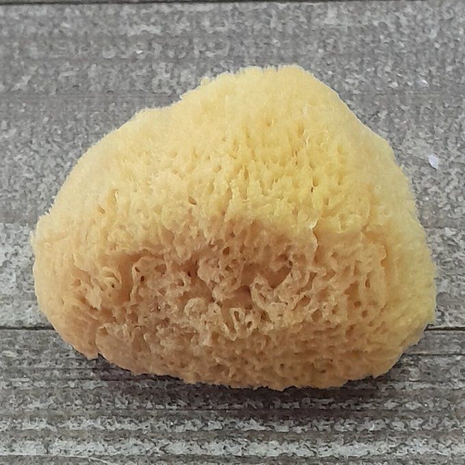 eponge-de-mer-naturelle-douceur-des-sens